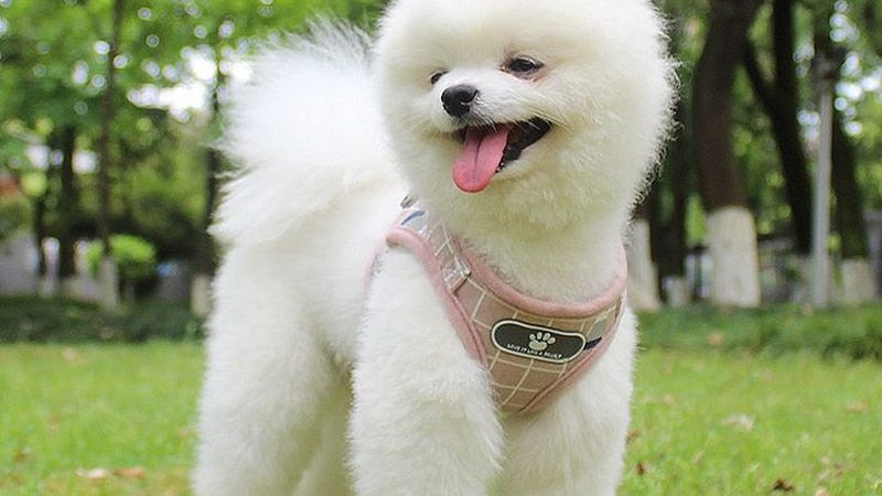 水果保鲜冷库安装费用构成解析